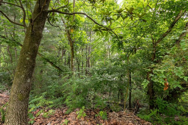 112 Leslie Court, Kingsport, TN 37663