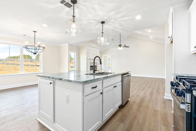 396 Springcreek Drive, Rehobeth, AL 36301