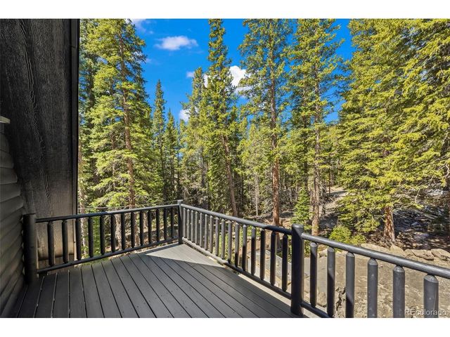 46 Silver Creek Rd, Idaho Springs, CO 80452