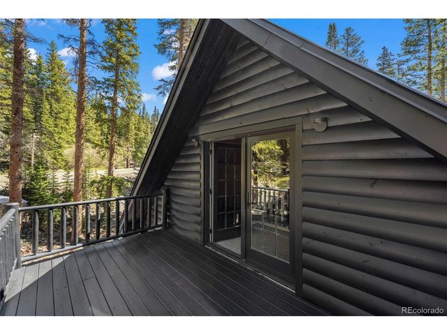 46 Silver Creek Rd, Idaho Springs, CO 80452