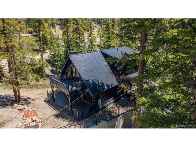 46 Silver Creek Rd, Idaho Springs, CO 80452