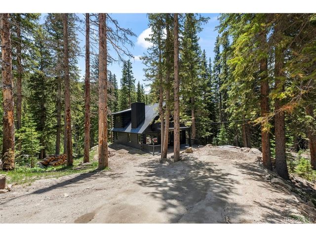 46 Silver Creek Rd, Idaho Springs, CO 80452