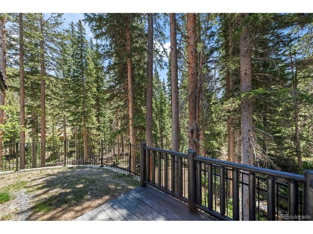 46 Silver Creek Rd, Idaho Springs, CO 80452