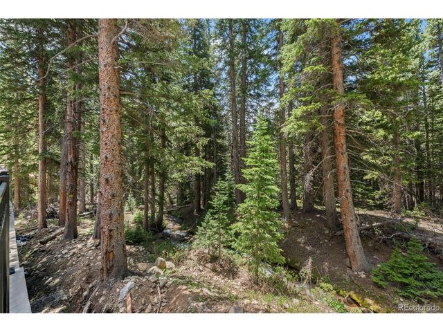 46 Silver Creek Rd, Idaho Springs, CO 80452