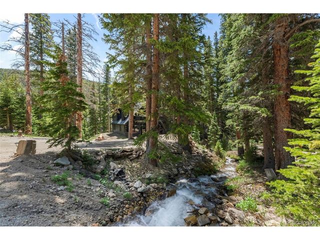 46 Silver Creek Rd, Idaho Springs, CO 80452