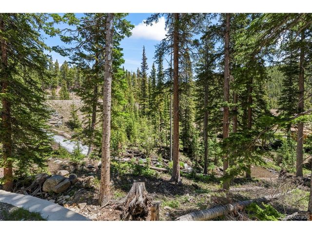 46 Silver Creek Rd, Idaho Springs, CO 80452