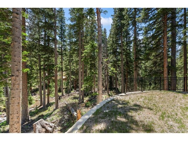 46 Silver Creek Rd, Idaho Springs, CO 80452