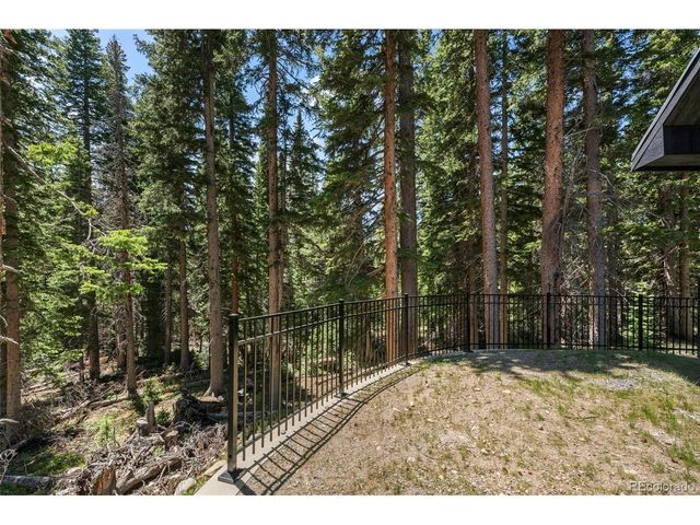 46 Silver Creek Rd, Idaho Springs, CO 80452