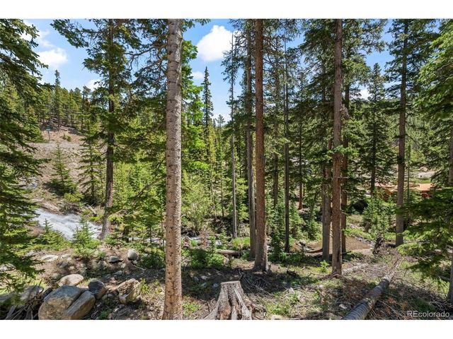 46 Silver Creek Rd, Idaho Springs, CO 80452