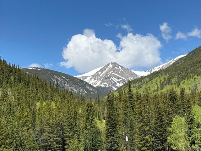46 Silver Creek Rd, Idaho Springs, CO 80452