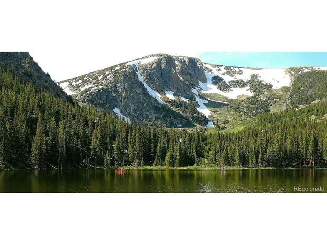 46 Silver Creek Rd, Idaho Springs, CO 80452