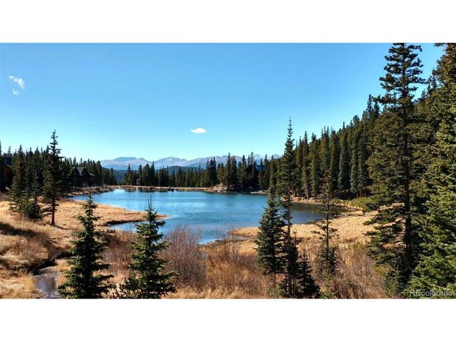 46 Silver Creek Rd, Idaho Springs, CO 80452