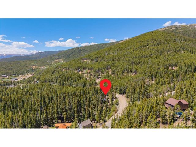 46 Silver Creek Rd, Idaho Springs, CO 80452