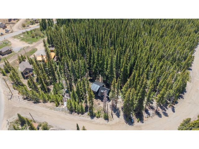 46 Silver Creek Rd, Idaho Springs, CO 80452