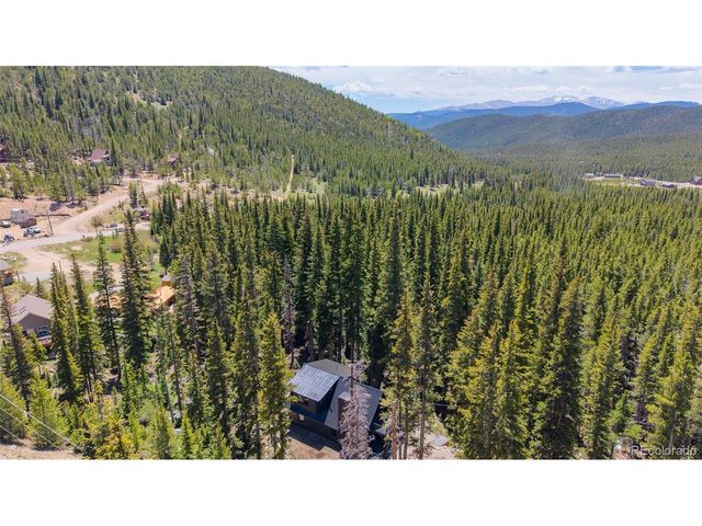 46 Silver Creek Rd, Idaho Springs, CO 80452