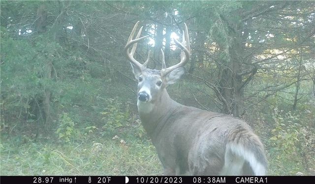 27860 Y Highway, Oregon, MO 64473