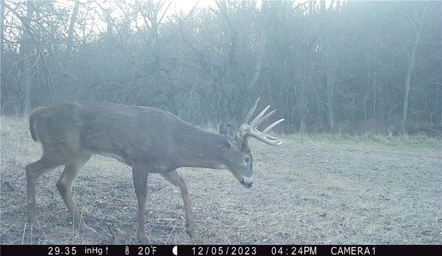 27860 Y Highway, Oregon, MO 64473