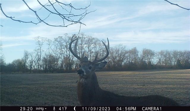 27860 Y Highway, Oregon, MO 64473