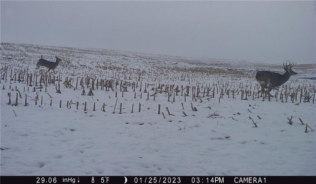 27860 Y Highway, Oregon, MO 64473