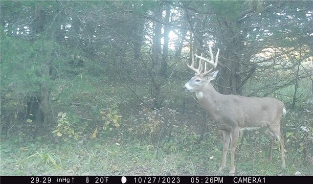 27860 Y Highway, Oregon, MO 64473