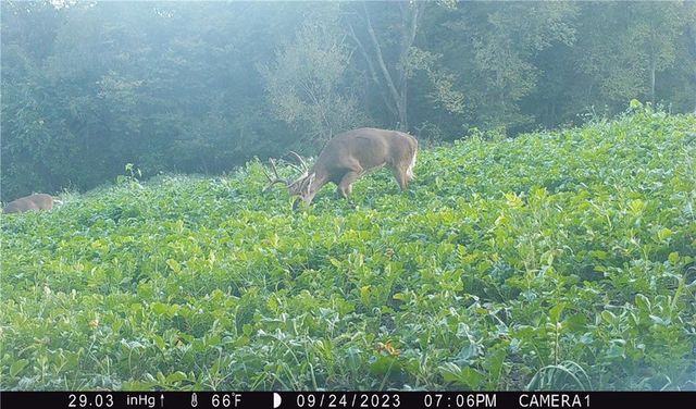 27860 Y Highway, Oregon, MO 64473