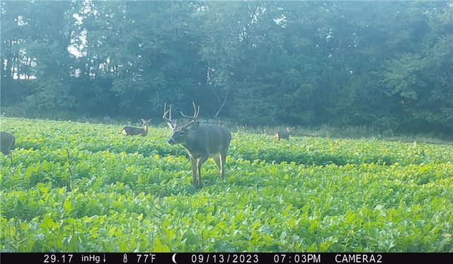 27860 Y Highway, Oregon, MO 64473