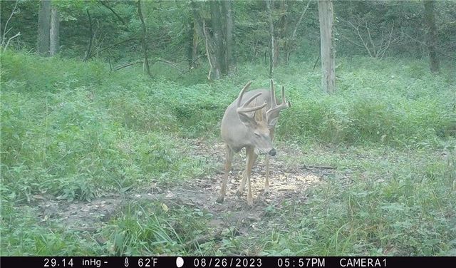 27860 Y Highway, Oregon, MO 64473