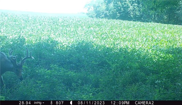 27860 Y Highway, Oregon, MO 64473