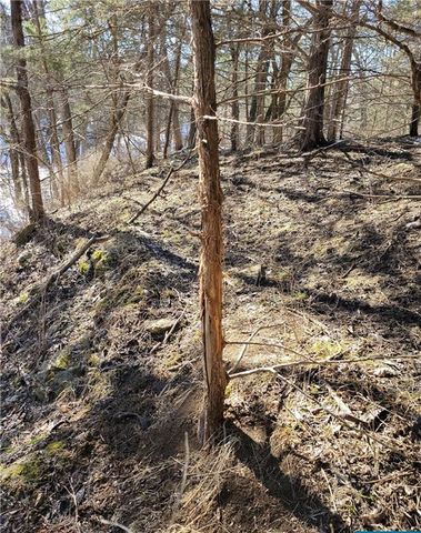 27860 Y Highway, Oregon, MO 64473