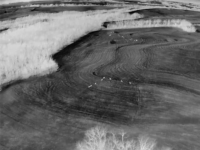 27860 Y Highway, Oregon, MO 64473