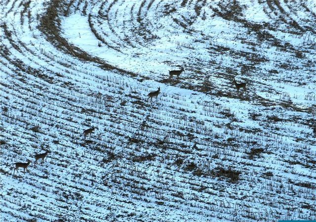 27860 Y Highway, Oregon, MO 64473