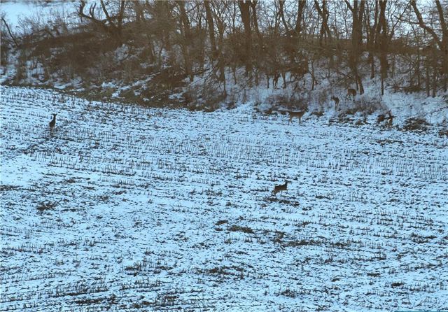 27860 Y Highway, Oregon, MO 64473