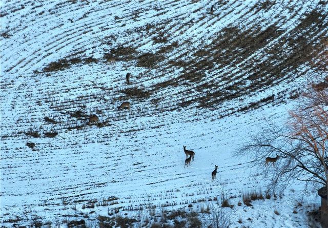 27860 Y Highway, Oregon, MO 64473