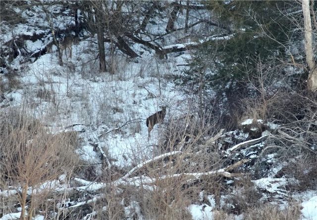 27860 Y Highway, Oregon, MO 64473