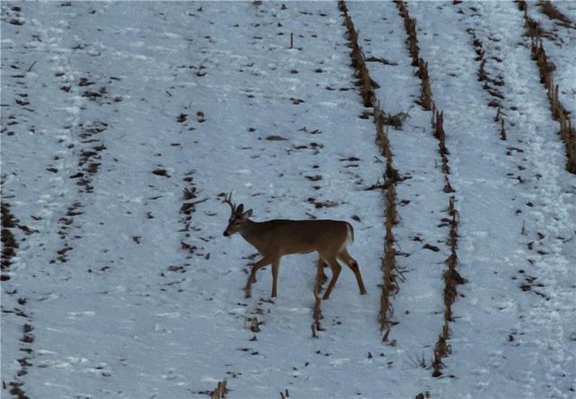 27860 Y Highway, Oregon, MO 64473