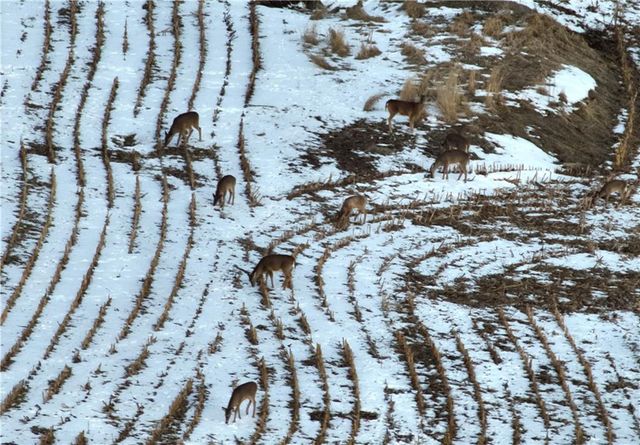 27860 Y Highway, Oregon, MO 64473