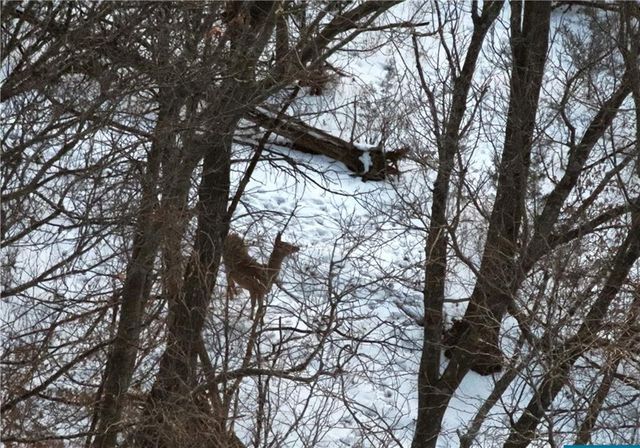 27860 Y Highway, Oregon, MO 64473