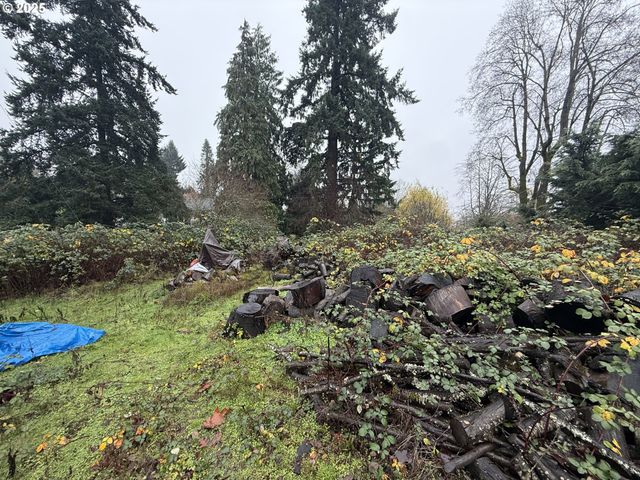 Sw Schiller, Beaverton, OR 97225