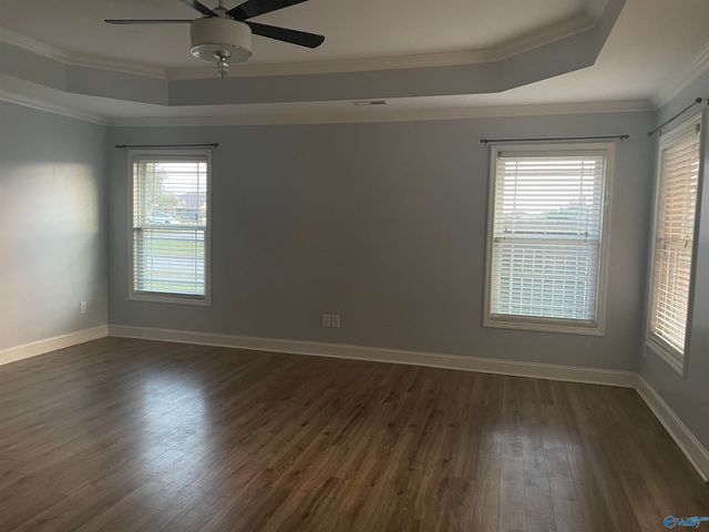 246 Healey Drive, Madison, AL 35756