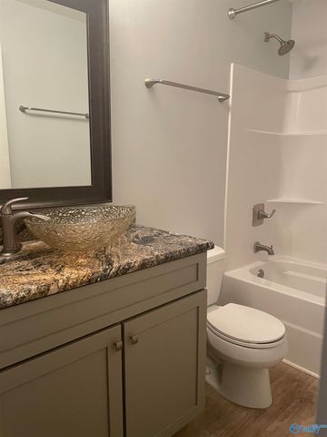 246 Healey Drive, Madison, AL 35756