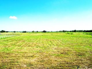 12239 Padon Road, Needville, TX 77461
