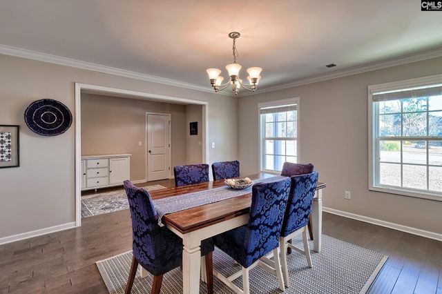 335 Saucer Way, Chapin, SC 29036