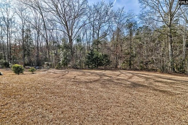 335 Saucer Way, Chapin, SC 29036