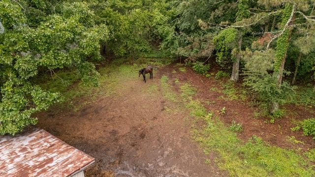 3562 Summertown Hwy, Summertown, TN 38483