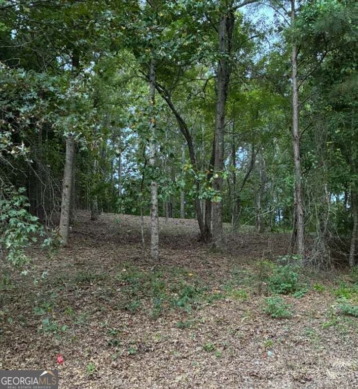 126 Big Cotton Trail, Mcdonough, GA 30252 — photo 3
