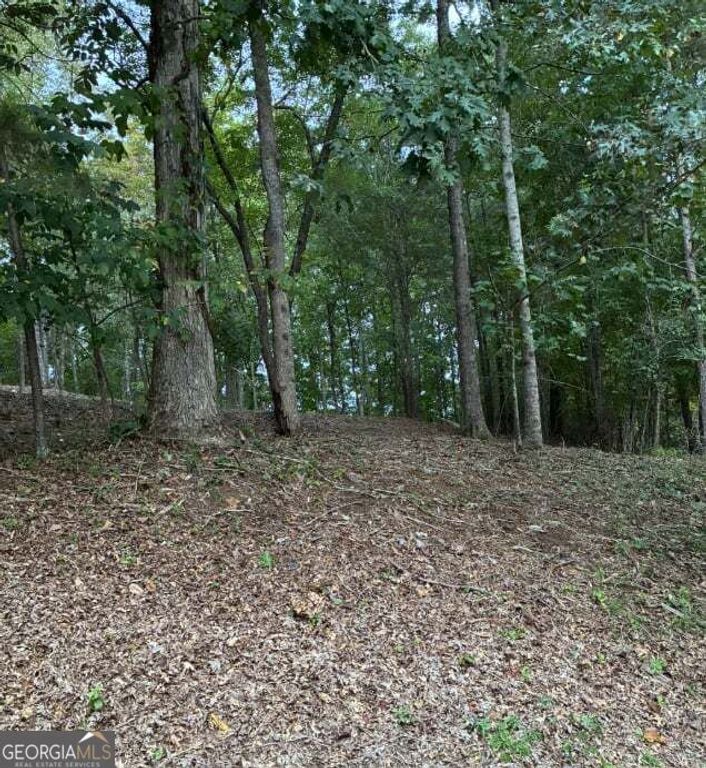 126 Big Cotton Trail, Mcdonough, GA 30252 — photo 5