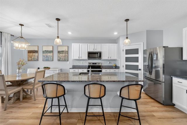 4893 PANGA AVENUE, Mount Dora, FL 32757