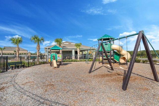 4893 PANGA AVENUE, Mount Dora, FL 32757