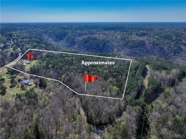 16598 Lock 17, Brookwood, AL 35444