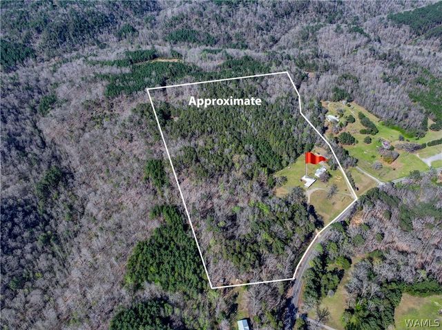 16598 Lock 17, Brookwood, AL 35444